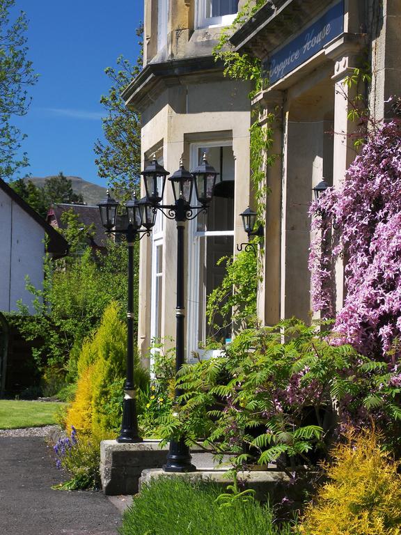 Coppice House Bed & Breakfast Callander Eksteriør bilde